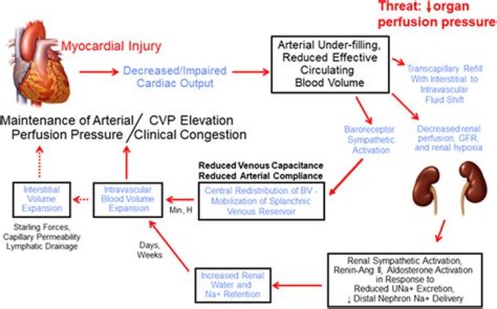 What causes heart rate to drop during anesthesia?
