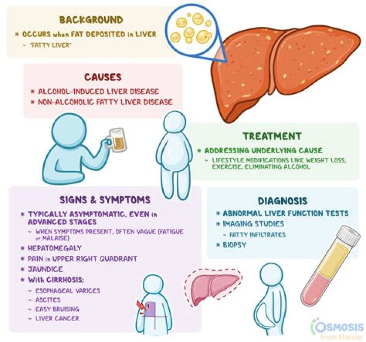 What causes liver discomfort?