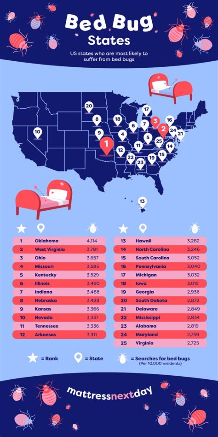 What city in the United States has the most bed bugs?