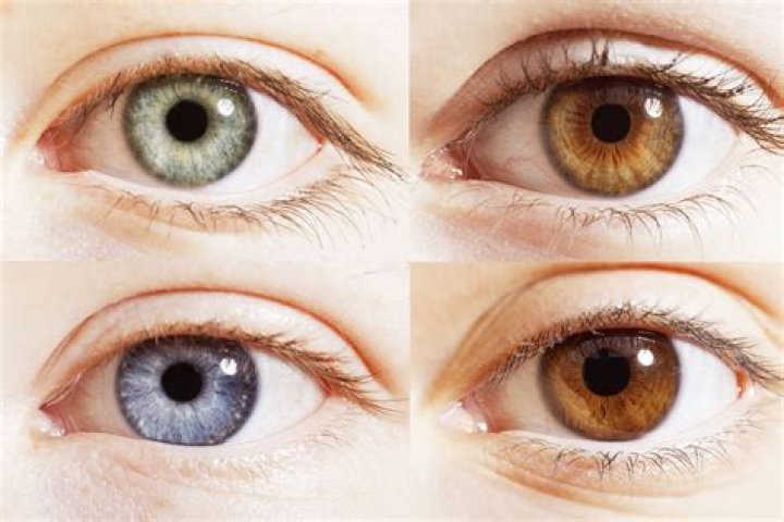 What color are an Omegas eyes?