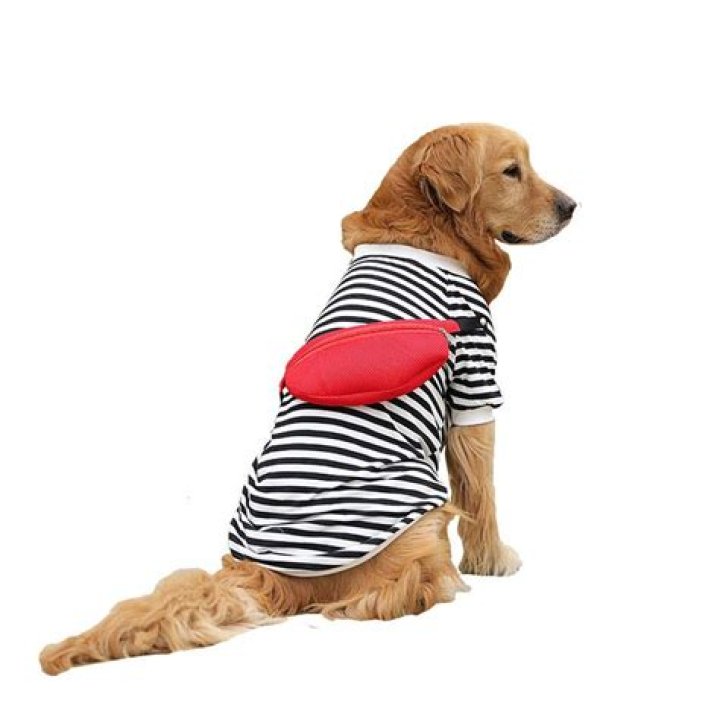 What color are dogs afraid of?