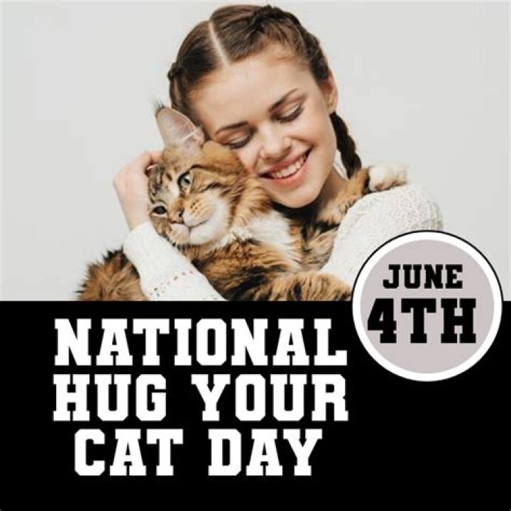 What day is National Hug a furry day?