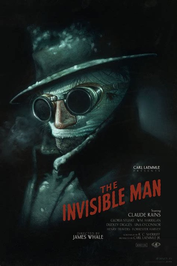 What did the cold pillow lead Mrs Hall to believe in The Invisible Man?
