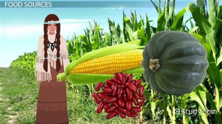 What did the Native Americans eat?
