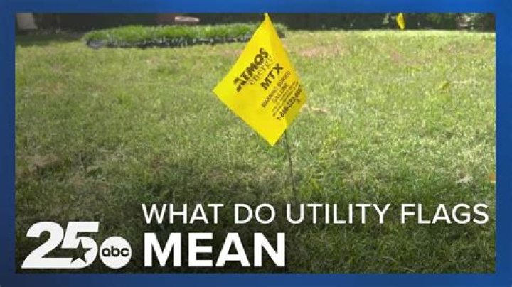 What do blue flags in your yard mean?