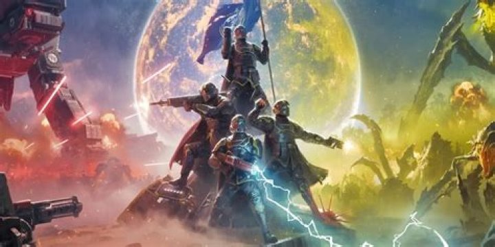 What do free divers do?