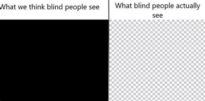 What do fully blind people see?