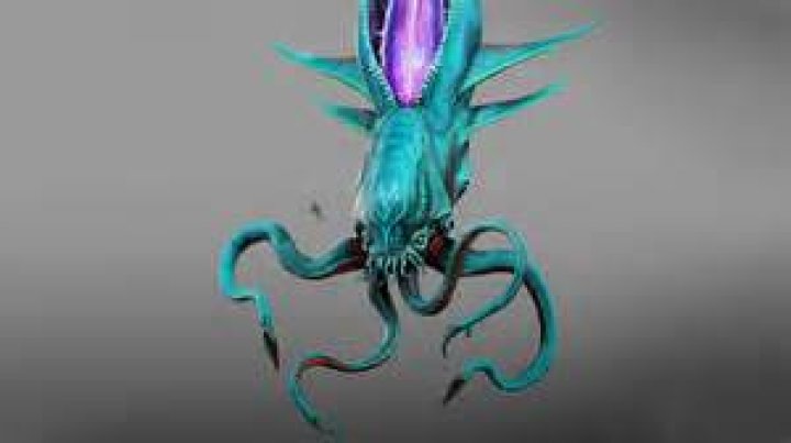 What do ghost leviathans eat?