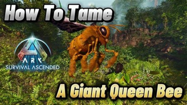What do giant queen bees eat ark?