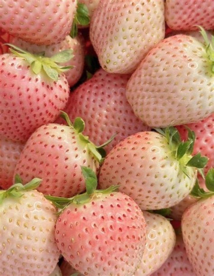What do Japanese pink strawberries taste like?
