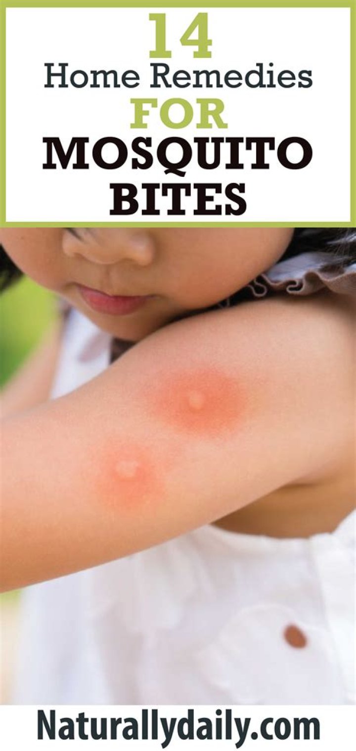 What do mosquito bites look like?