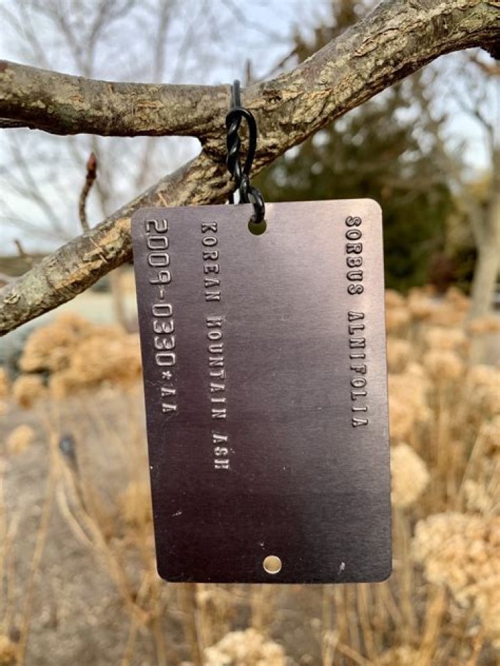 What do red tags on trees mean?