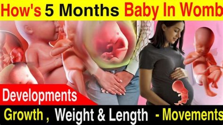 What do unborn babies do in the womb?