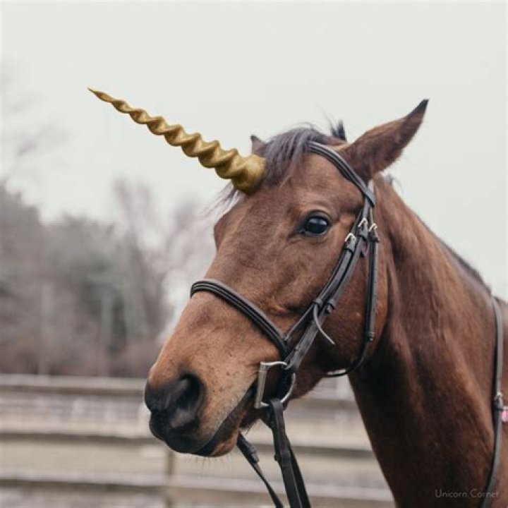 What do unicorn horns do Terraria?