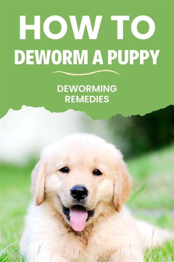 What do vets give to deworm puppies?