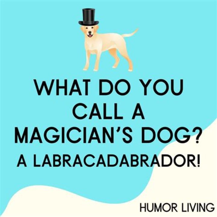 What do you call a female magician?