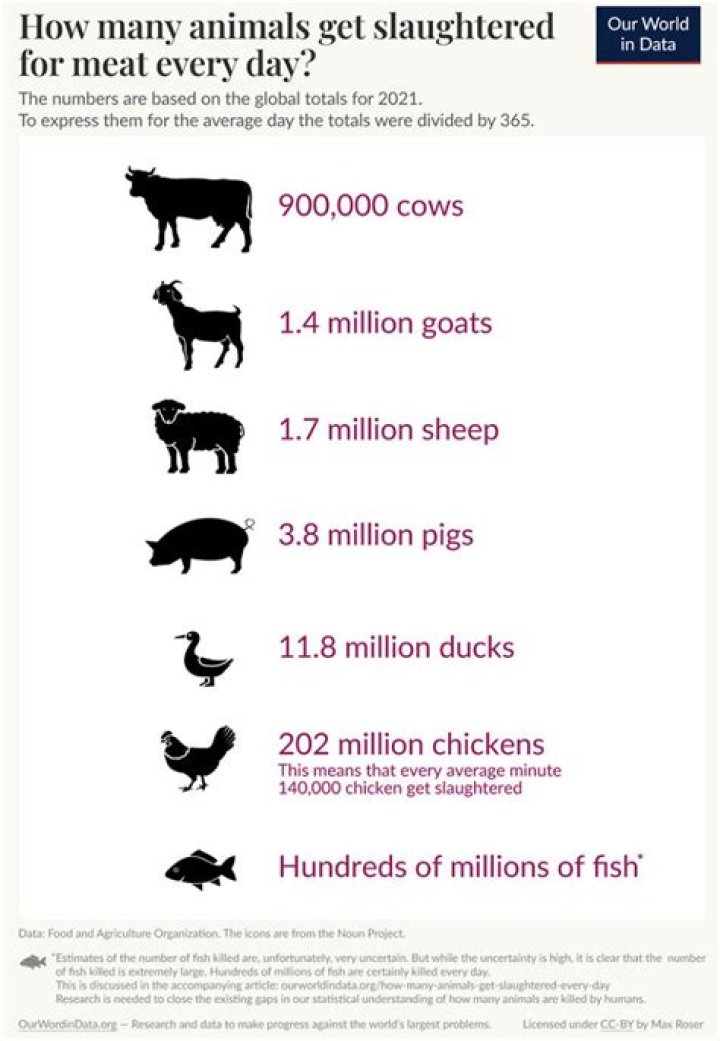 What do you call the body of the slaughtered animal?