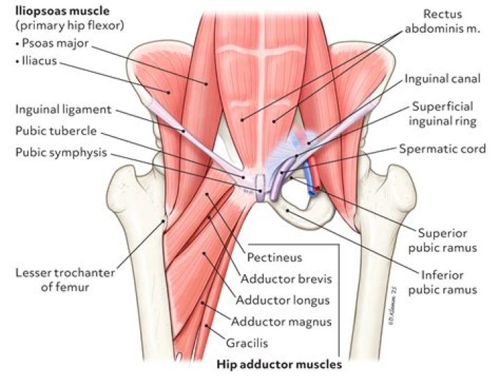 What do you call the spot where your shooting hand consistently?