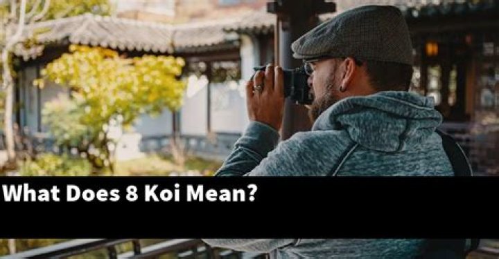 What does 8 koi mean?