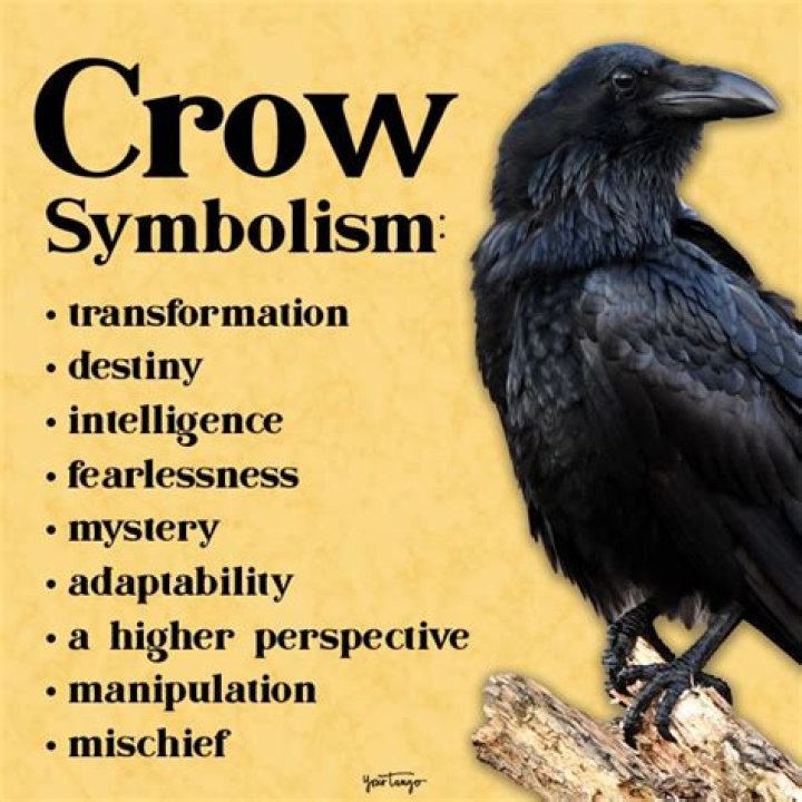 What does a crow symbolize in the Bible?