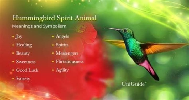 What does a hummingbird symbolize?