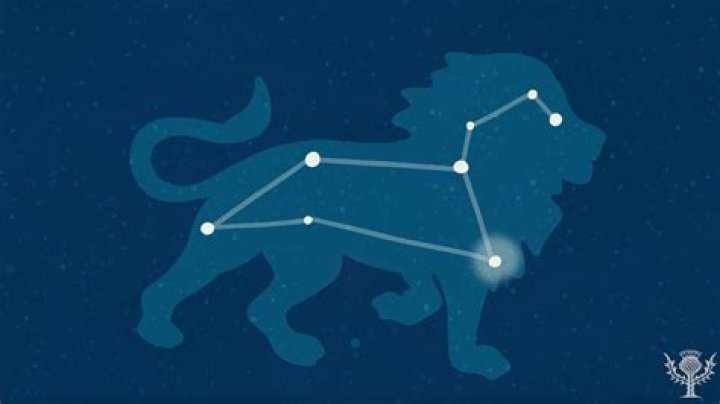What does a Leo look like?
