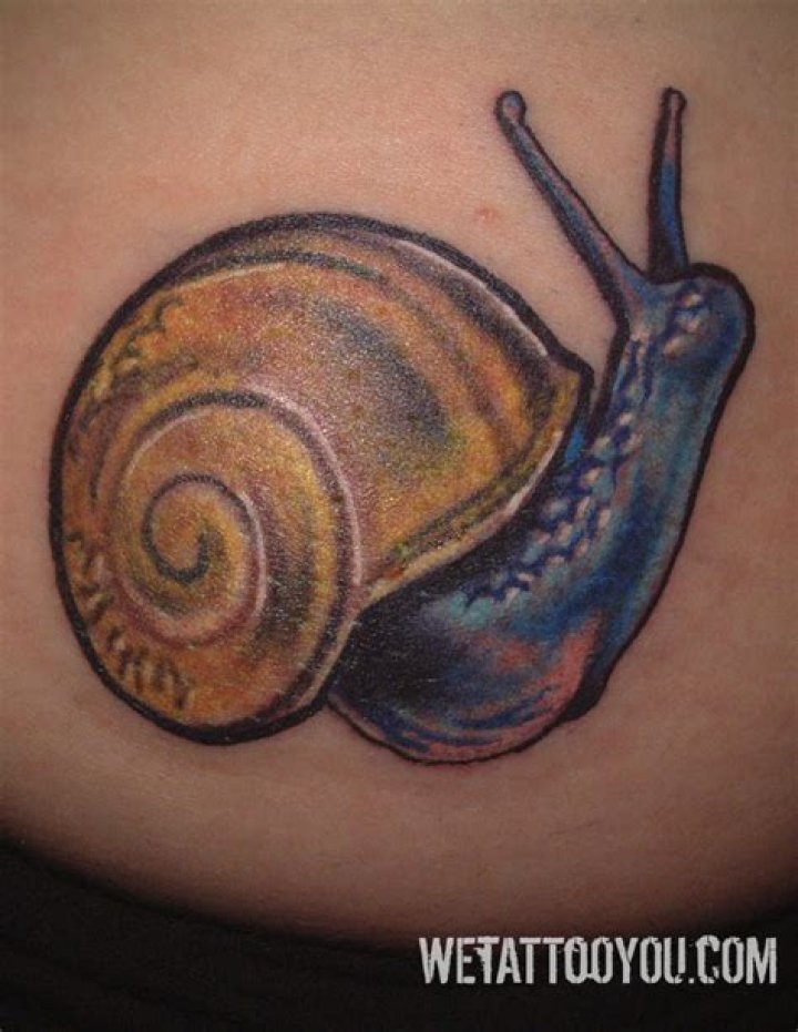 What does a snail tattoo mean?