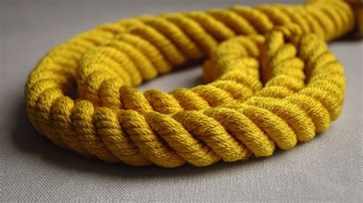 What does a yellow shoulder cord mean?
