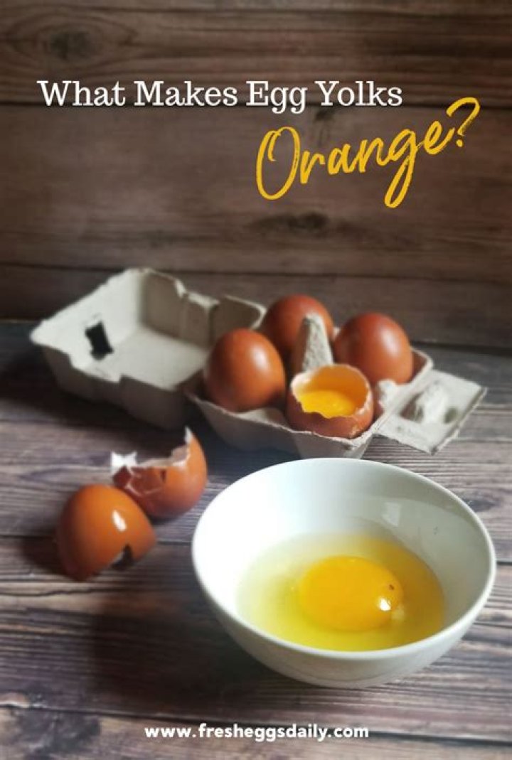 What does an orange egg yolk mean?