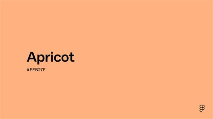 What does apricot look like?