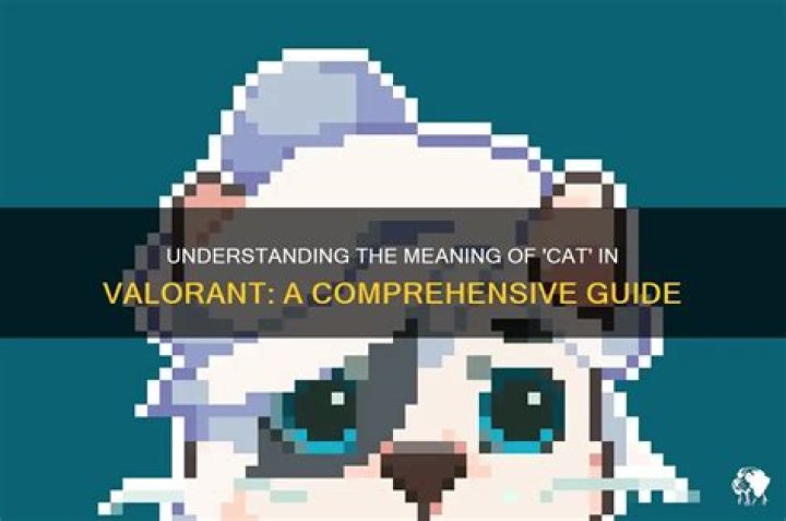 What does cat mean in Valorant?
