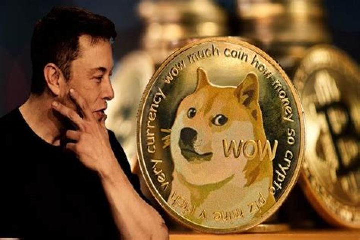 What does Elon Musk say about Dogecoin?