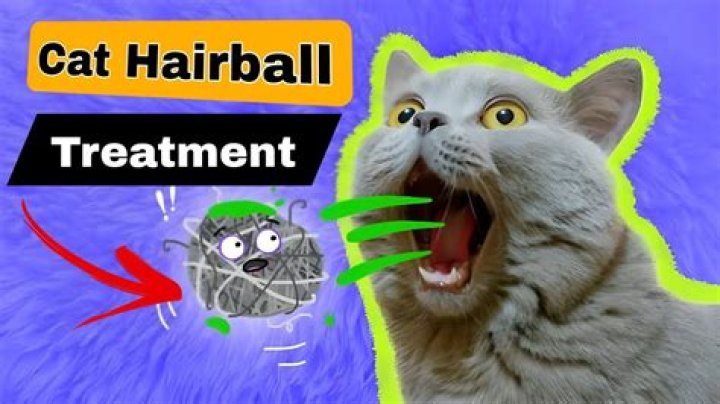 What does it look like when a cat passes a hairball?