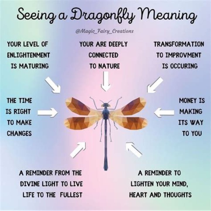 What does it mean when you see two dragonflies together?