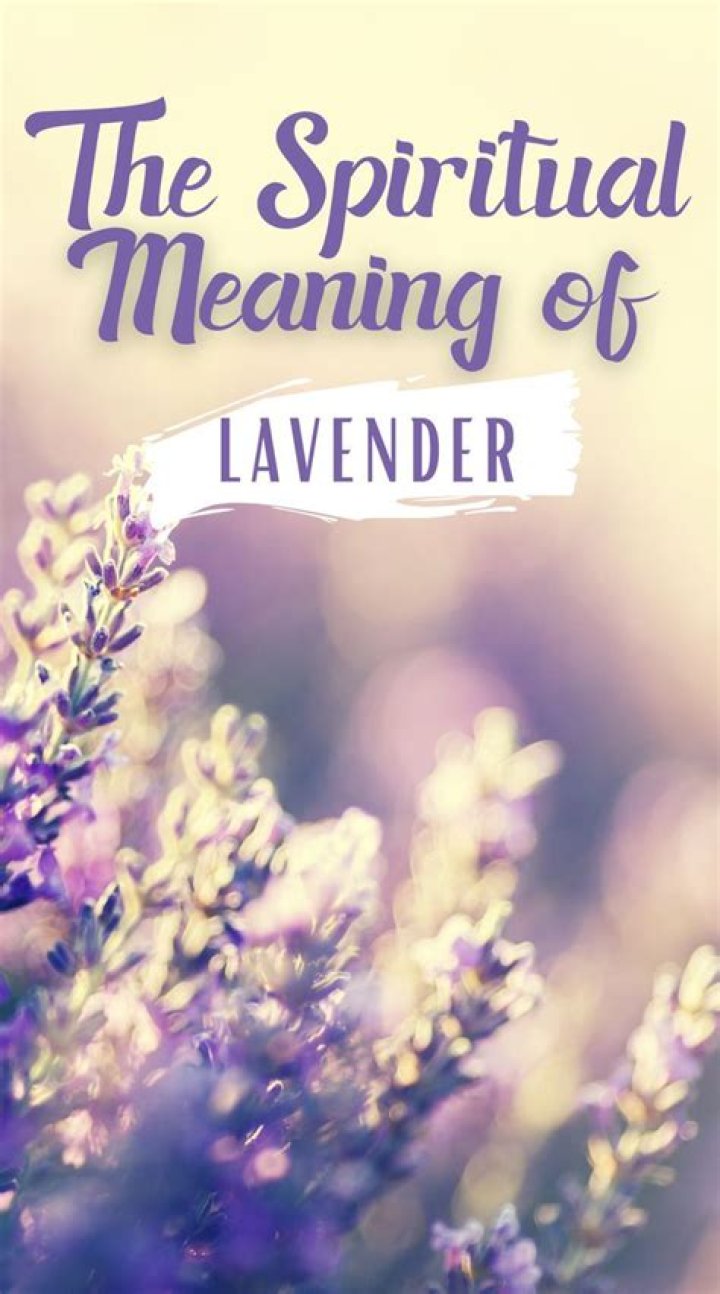 What does lavender mean in Bible?