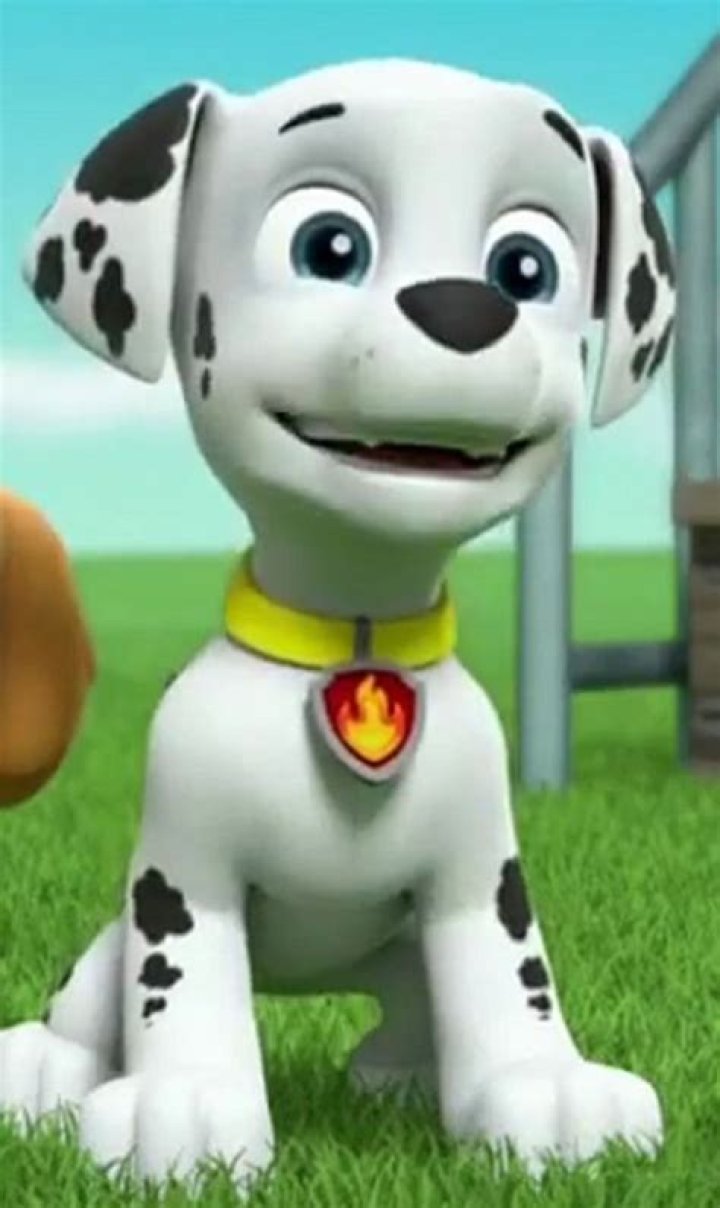 What does Marshall always say on PAW Patrol?