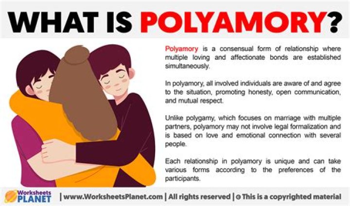 What does Meta mean in polyamory?