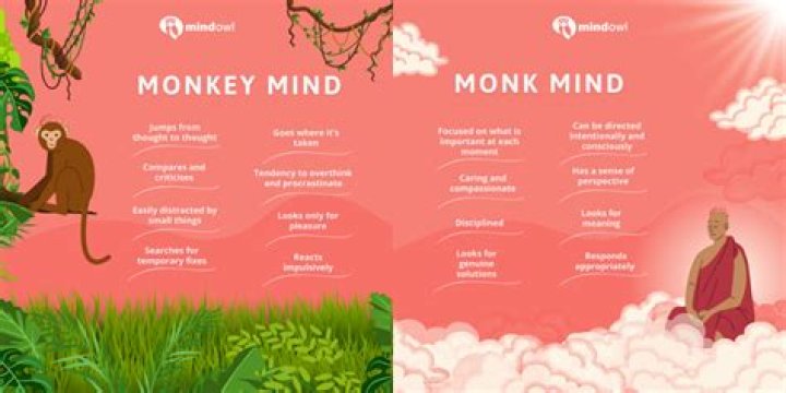 What does Monkey year mean?