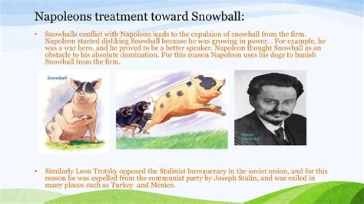 What does Napoleon syndrome mean?