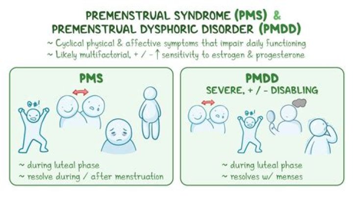 What does PMD stand for in medical terms?