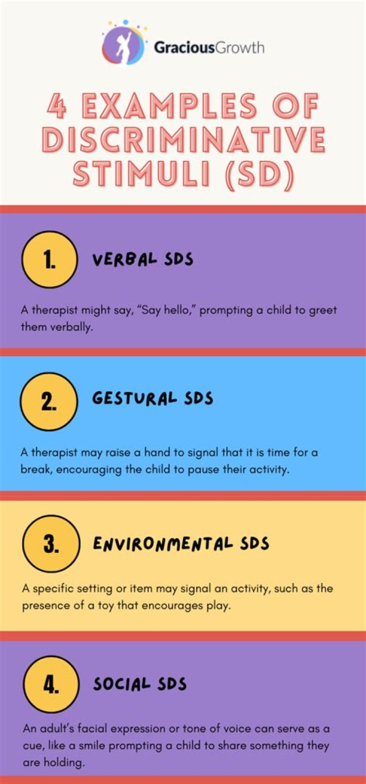 What does SD and SB stand for?