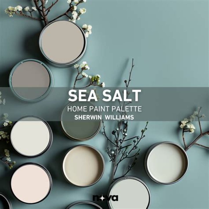 What does Sherwin Williams sea salt color look like?