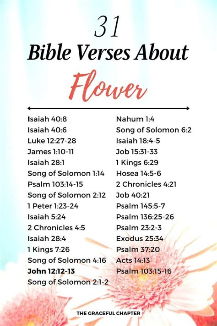 What does the Bible say about lilies?