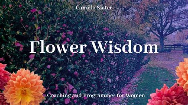 What flower means wisdom?