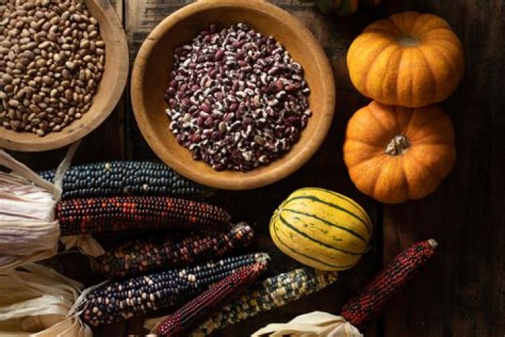 What food did the Israelites eat in Canaan?