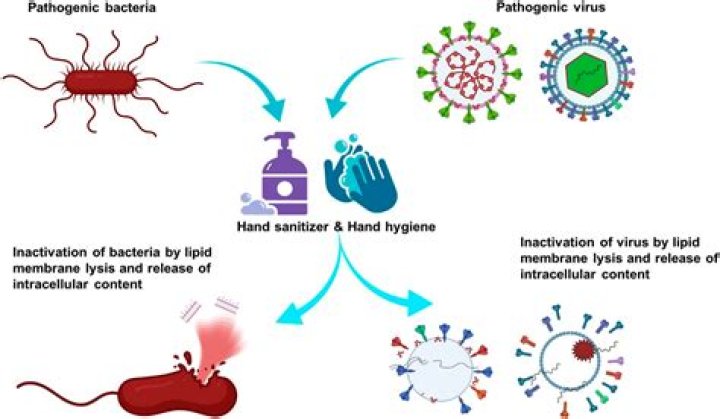 What food kills infection?