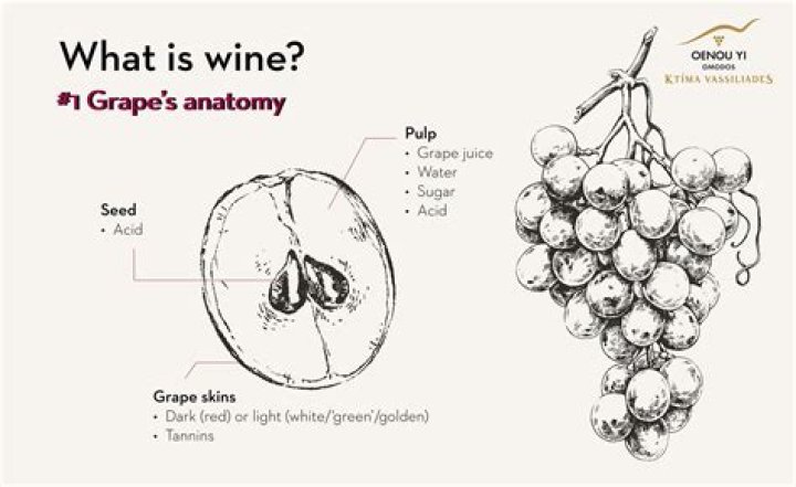 What grape is Meursault made from?