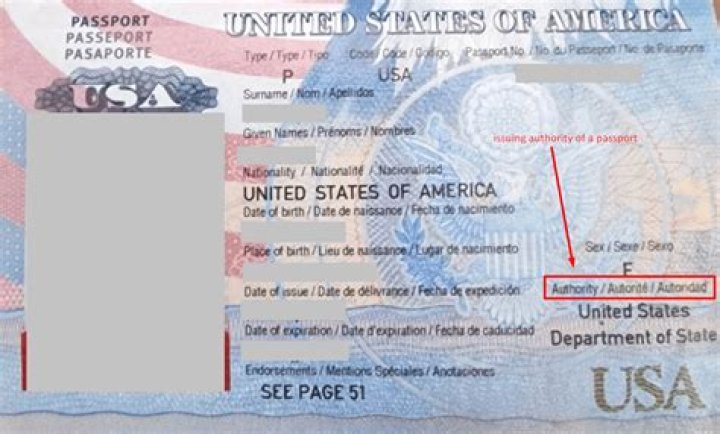 What happens if I run out of pages in my passport?