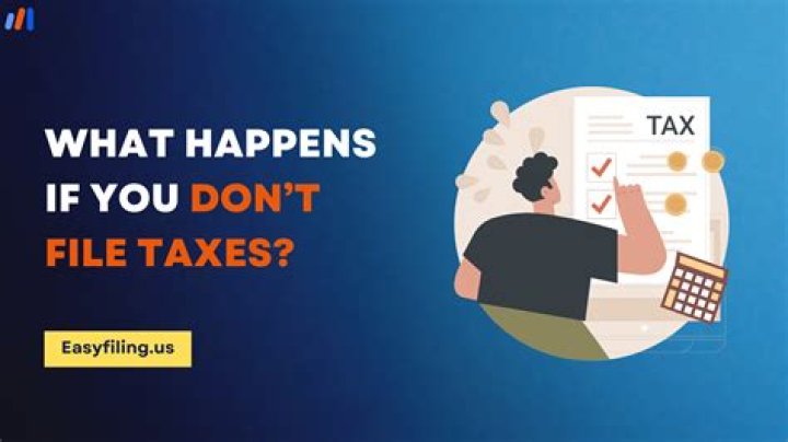 What happens if you don't file taxes for 2 years?