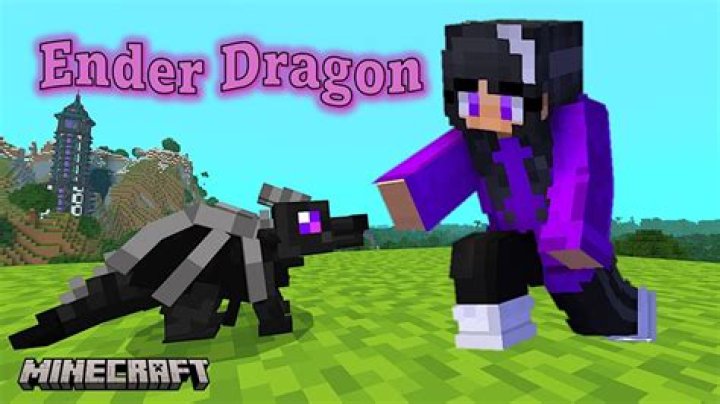 What happens if you name the Ender dragon Jean?